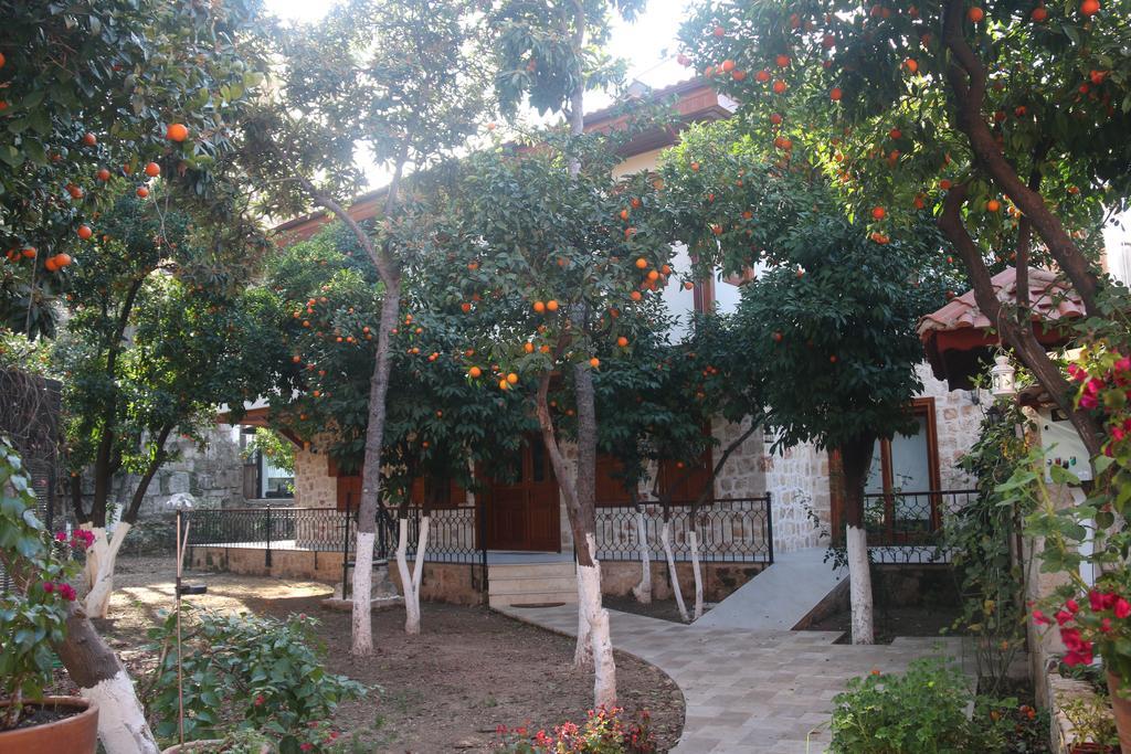 Citrus Garden Hotel Анталья Экстерьер фото