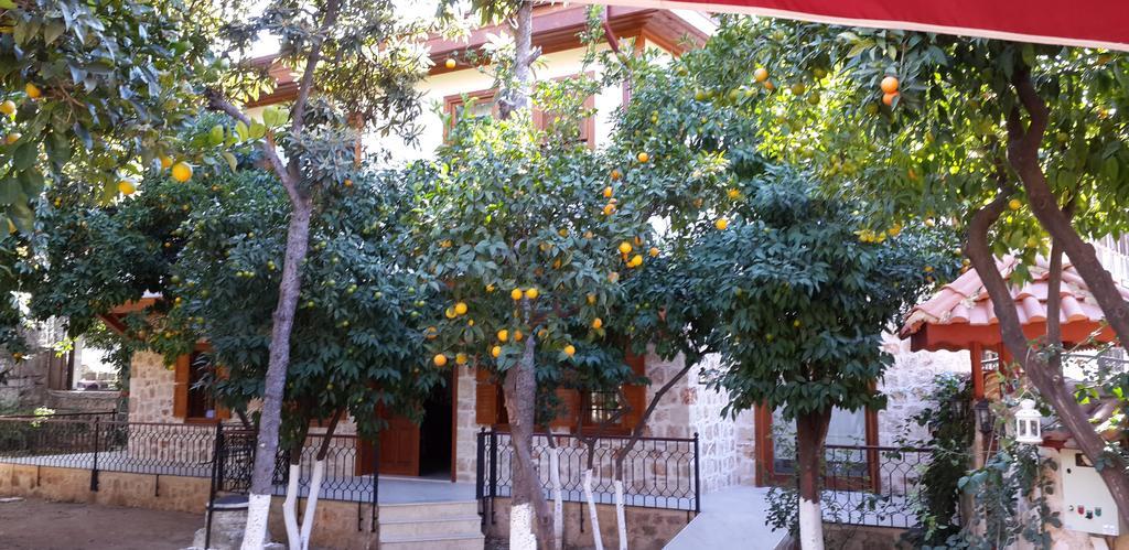 Citrus Garden Hotel Анталья Экстерьер фото