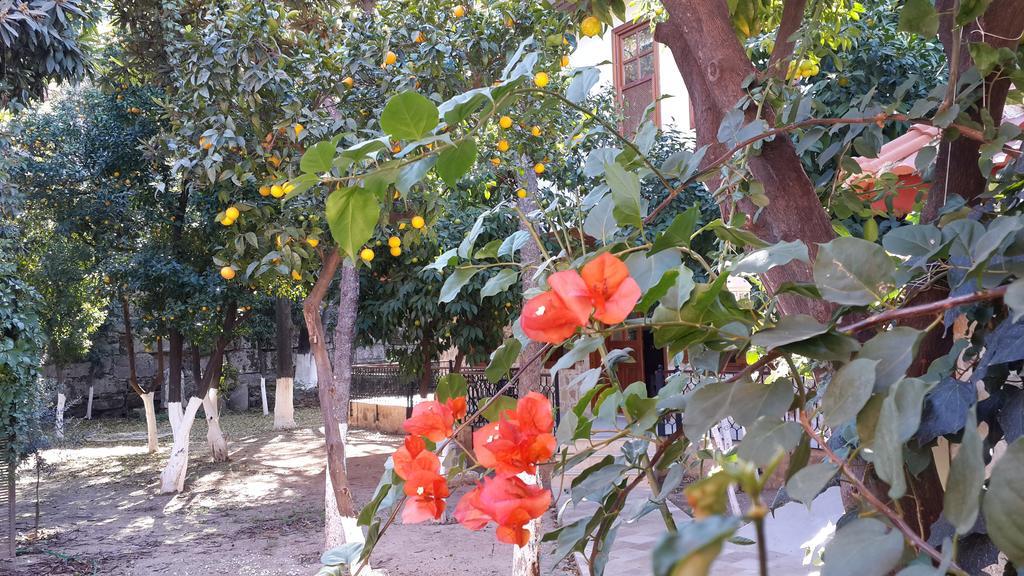 Citrus Garden Hotel Анталья Экстерьер фото