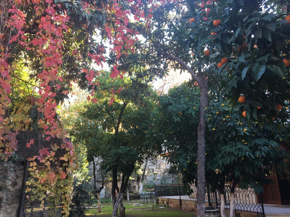 Citrus Garden Hotel Анталья Экстерьер фото