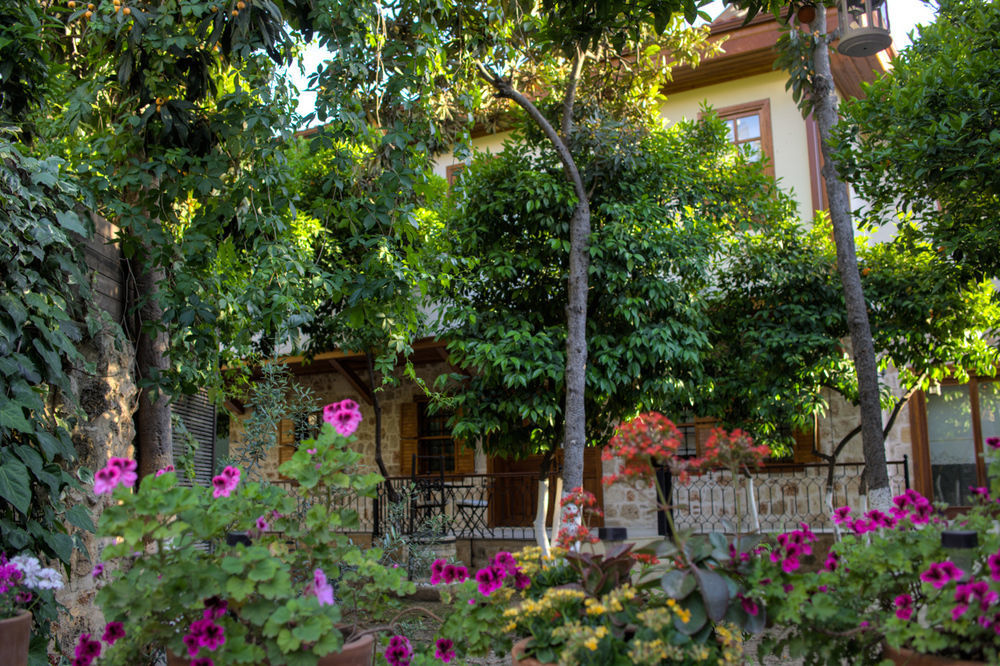 Citrus Garden Hotel Анталья Экстерьер фото