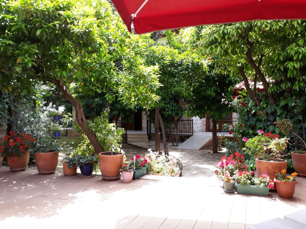 Citrus Garden Hotel Анталья Экстерьер фото